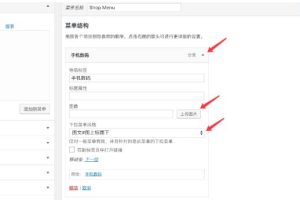 Module主题高级菜单设置