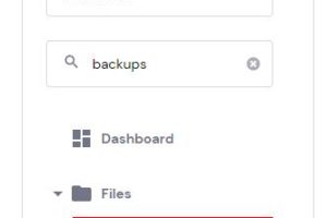 在Hostinger主机中下载网站备份的方法步骤