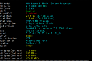 DediPath美国VPS测评