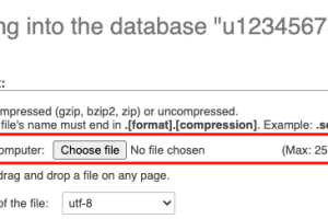 如何使用phpMyAdmin导入数据库