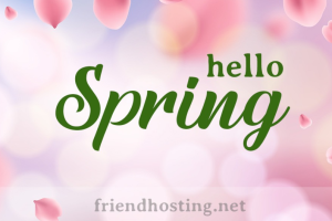 FriendHosting2023春季促销