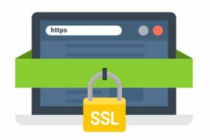 SSL证书支持绑定的域名类型