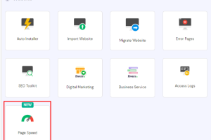 测试WordPress网站速度