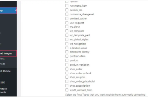 WordPress插件设置