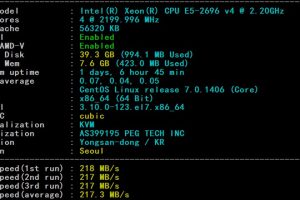 RAKsmart韩国云服务器精品网线路速度和性能评测