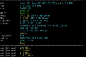 RAKsmart韩国云服务器大陆优化线路速度和性能评测