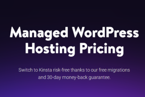 Kinsta WordPress主机托管服务价格表