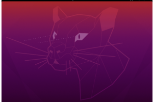 Ubuntu服务器安装图形用户界面