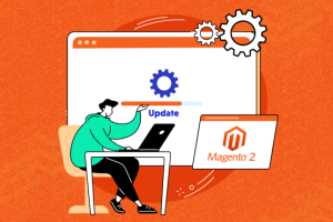 Magento 2.4.6