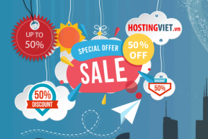 HostingViet越南服务器5折优惠