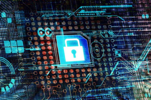 韩国站群服务器