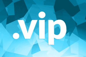 .vip域名续费价格