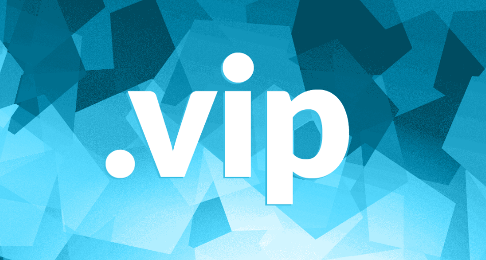 .vip域名续费价格