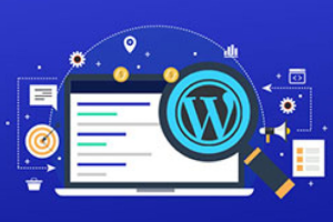 WordPress企业官网主题推荐