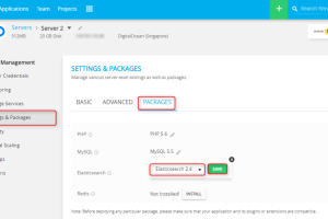 Cloudways云服务器安装配置Elasticsearch