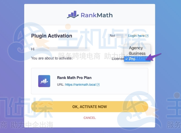 激活Rank Math Pro账户