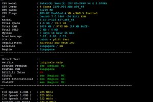 RAKsmart新加坡VPS速度和性能评测