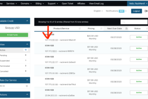 RackNerd客户端门户推出三项新的增强功能
