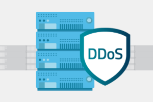 国外高防服务器租用