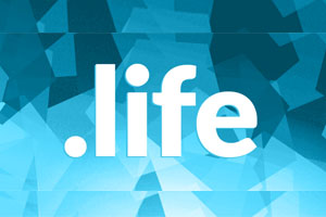 life域名注册和续费价格