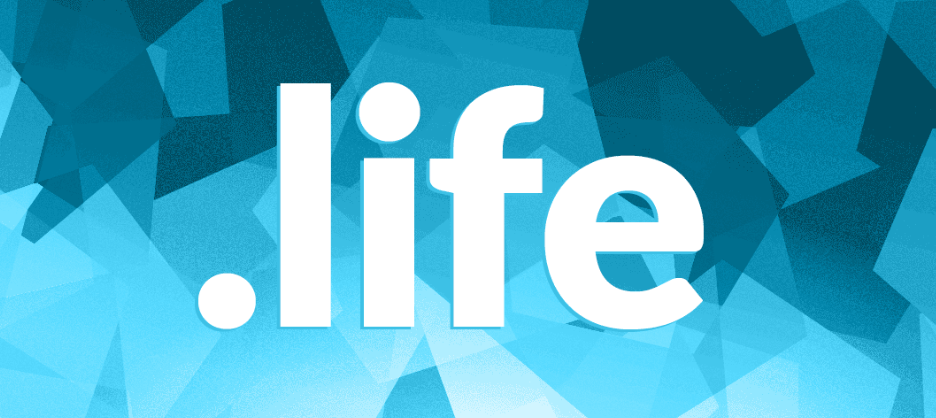 .life域名注册和续费价格