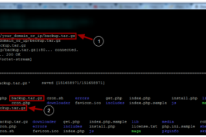 将备份文件下载到您的Cloudways服务器