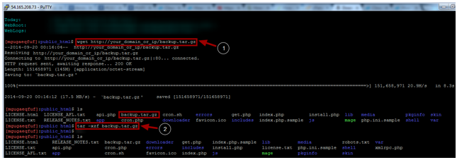 将备份文件下载到您的Cloudways服务器