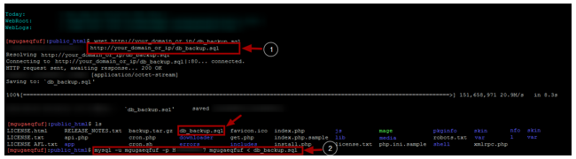 在新的Cloudways服务器上恢复数据库