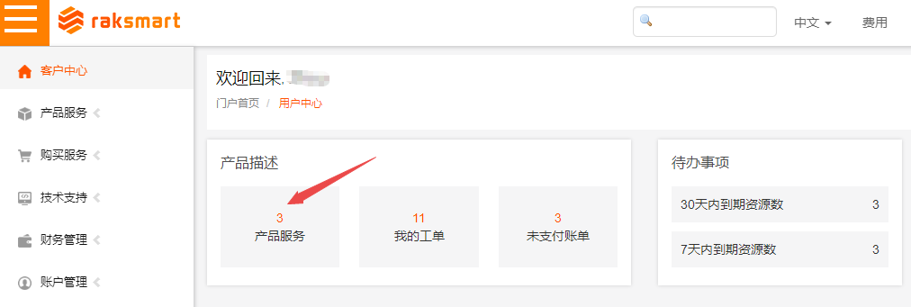 RAKsmart新加坡VPS