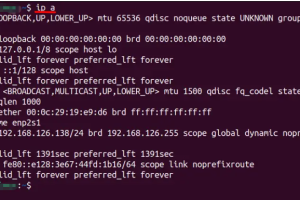 查看网络接口名称