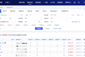 域名到期查询方法