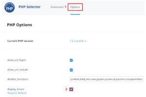 在cPanel上打开PHP错误消息