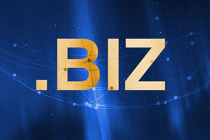biz域名多少钱