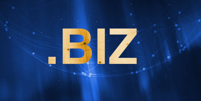 biz域名多少钱
