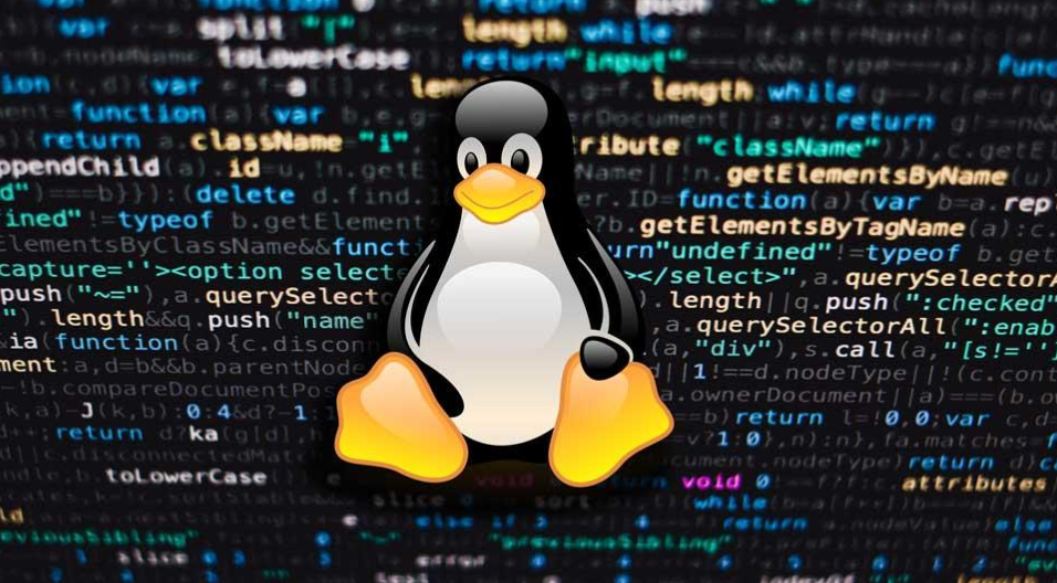 Linux解压zip命令