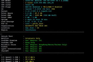 RAKsmart香港云服务器大陆优化线路速度和性能评测