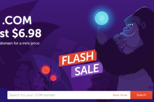 Namecheap闪购活动