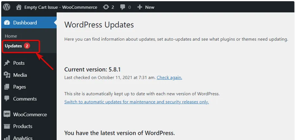 更新网站的WordPress和WooCommerce