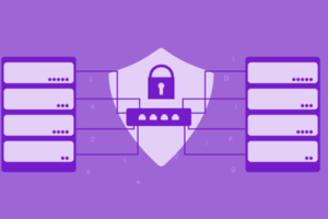 美国高防服务器租用