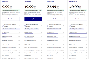Elementor托管计划