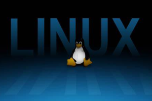 Linux系统哪个好用