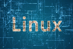 在Linux中使用cp命令