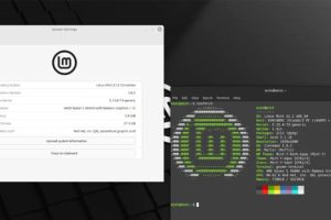 Linux Mint 21.2 Beta