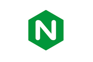 Nginx出现500错误的常见原因和解决方法