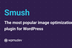 WordPress图片压缩和优化插件Smush