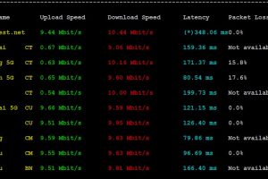 RAKsmart新加坡VPS速度