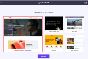 Hostinger博客主题