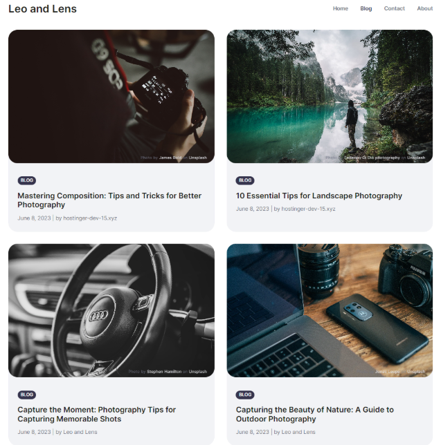 Hostinger博客主题