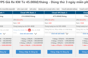 HostingViet越南便宜VPS