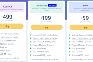 Rank Math夏季促销活动